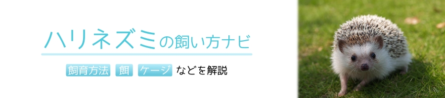 nlY~񂵎Ԃŕۂ̑΍
